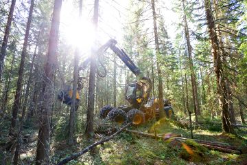 Alkuvuonna puukauppa on sujunut harvennushakkuupainotteisesti. Sahasuhdanne heikentyi, varastot täyttyivät ja osalla metsänomistajistakin on maha täynnä. Kesäkuussa harvennushakkuu oli käynnissä kuusivaltaisella kuviolla Leppävirralla Pohjois-Savossa. (Kuvaaja: Sami Karppinen)