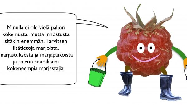 Marjakaveri -hahmojen avulla voi etsiä itselleen sopivaa kaveria marjaretkelle. (Kuva: Arktiset Aromit ry)  