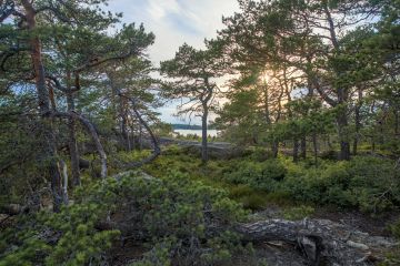 Purunpään niemellä sisäsaaristo muuttuu heti ulkosaaristoksi. Vuosina 2017–2018 tehdyn luontoselvityksen mukaan muun muassa maassa pesivien lintujen kanta on alueella merkittävä.
(Kuvaaja: Föreningen Konstsamfundet)