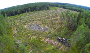 Täsmämetsänhoidossa uudistusalaa kuvaavia tietoja yhdistellään mahdollisimman monista lähteistä. Hakkuukoneet keräävät puustotietoja sivuiltaan 16 metriä olevilta ruuduilta. Taustatietona käytetään Maanmittauslaitoksen ja Suomen metsäkeskuksen tekemää maastonkorkeusmallia, Geologisen tutkimuskeskuksen maalaji- ja maaperäkarttoja sekä Luken kosteusindeksiä ja kiintoaine- ja ravinnekuormituksen analyysejä. (Kuvaaja: Sami Karppinen)