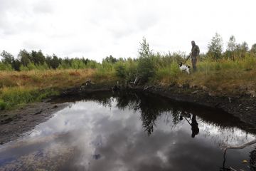 Tuotannosta poistuneista turvesoista on tullut suosittuja vesilinnustuspaikkoja. Keski-Suomessa sorsajahti aloitettiin vaihtelevassa säässä reippaiden sadekuurojen ja auringon vuorotellessa. Tällä kohteella oli aloituksessa tyytyminen kolmen tavin ohilentoon. (Kuvaaja: Sami Karppinen)