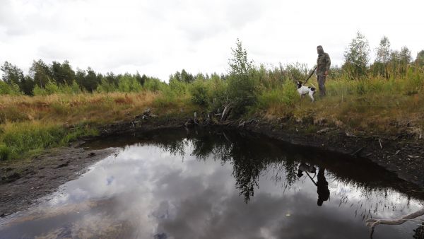 Tuotannosta poistuneista turvesoista on tullut suosittuja vesilinnustuspaikkoja. Keski-Suomessa sorsajahti aloitettiin vaihtelevassa säässä reippaiden sadekuurojen ja auringon vuorotellessa. Tällä kohteella oli aloituksessa tyytyminen kolmen tavin ohilentoon. (Kuvaaja: Sami Karppinen)