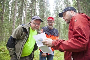 hcv-metsiä kummastelemassa