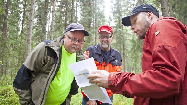 hcv-metsiä kummastelemassa