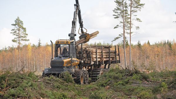 Tukkia hakattiin viime vuonna selvästi enemmän kuin sahattiin, mikä ärsyttää sahureita. (Kuvaaja: Mikko Riikilä)