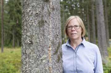 Metsäneuvos Marja Hilska-Aaltosen mukaan metsätalouden kannustejärjestelmän uudistamisessa otetaan huomioon hallitusohjelman mukaisesti hiilensidonnan kasvattaminen ja luonnon monimuotoisuuden parantaminen.  (Kuvaaja: Sami Karppinen)