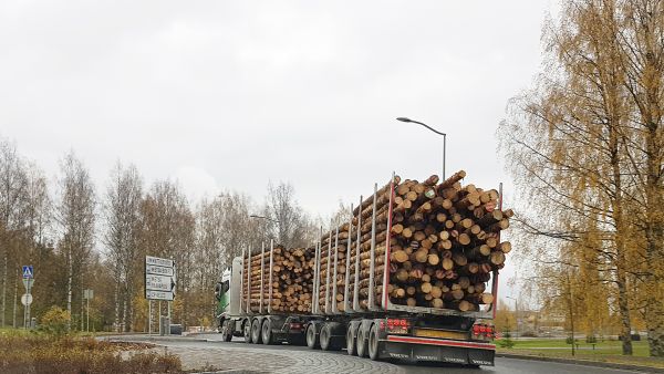 Syksyn puumarkkinoilla eletään erikoisia aikoja. Marraskuun alussa kuvatun tukkikuorman osoite oli Äänekosken biotuotetehdas. (Kuvaaja: Sami Karppinen)