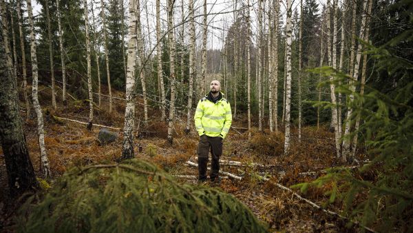 Metsänhoitoyhdistys Uudenmaan metsäasiantuntijan Lauri Lappalainen kertoo sekametsän hoidosta.