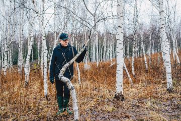 Visakoivikko tuottaa vain hoidettuna, Jouko Heiskanen näyttää. Karsittu sorvivisa on arvokasta, mutta pelkän oksavisan kasvattaminen ei kannata. (Kuvaaja: Miska Korpelainen)