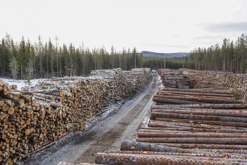 Pitkän motolistan avulla voidaan tulkita tarkemmin sitä, onko tukit katkottu optimaalisesti metsänomistajan tilipussin kannalta.  (Kuvaaja: Sami Karppinen)