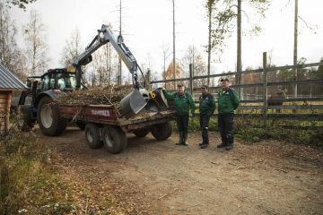 Tero Ikonen, Seppo Hitula ja Matti Heikkilä huolehtivat Ranuan eläinpuiston kunnossapidosta.