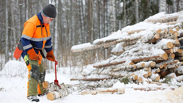 Vetosaksilla on leppoisa vedellä pieniä ja keskisuuria rankoja. (Kuvaaja: Sami Karppinen)