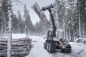 Puuta ajettiin helmikuussa kasalle sahayhtiö Keiteleen hakkuulla Kittilän eteläpuolella. Hankintaesimies Petri Tolosen mukaan alkutalven hyviin pakkaskeleihin on reagoitava Lapissakin nopeasti, että jänkien yli saadaan tehtyä perinteisiä talviteitä. (Kuvaaja: Timo Veijalainen)