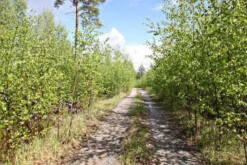 Tieosakkaiden järjestäytymättömyys alkaa yleensä näkyä pusikoitumisena.  