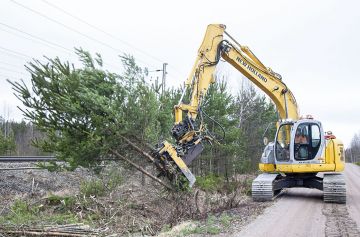 Risupeto on parhaimmillaan ylitiheiden, pituudeltaan 58-metristen nuorten metsien harventamisessa. (Kuvaaja: Mikko Riikilä)