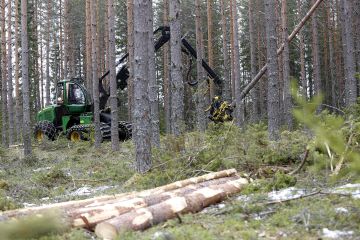 puunkorjuuta Keski-Suomessa