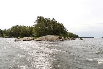 Verottajan tulkinta saaressa sijaitsevasta metsästä voi tuottaa yllätyksen. (Kuvaaja: Seppo Samuli)