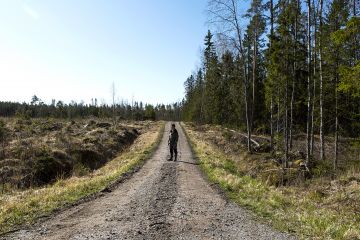 Monelle metsänomistajalle syy kokeilla jatkuvaa kasvatusta on halu välttää avohakkuumaisemaa. Erilaisten hakkuutapojen kannattavuus riippuu metsänomistajan tavoitteista. (Kuvaaja: Marjaana Malkamaki)