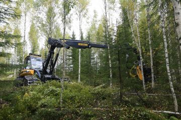 Puukauppaa käydään tällä hetkellä varsinkin harvennus- ja energiapuuleimikoista. (Kuvaaja: Sami Karppinen)