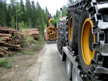 Metsätien pehmeisiin kohtiin voidaan ajaa mursketta jo siinä vaiheessa, kun metsäkoneita viedään puunkaatoon. Tien kunnostamisvastuu on sen rikkojalla, mutta asia kannattaa kirjata myös puukauppasopimukseen. (Kuvaaja: Seppo Hyvonen  Lehtikuva)