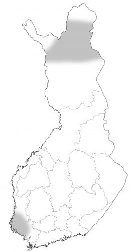 Myyrätilanne 2020