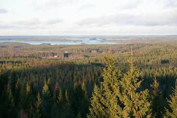 Lyhyellä aikavälillä voidaan hiilensidontaa lisätä puuston kasvua lisäämällä, kiertoaikoja pidentämällä ja hyödyntämällä puuta pitkäikäisissä tuotteissa. (Kuvaaja: Sami Karppinen)