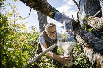 Tom Clayhills irrottaa runkoikkunapyydyksestä keräyssäiliön, jonne hyönteiset ovat pudonneet. (Kuvaaja: Seppo Samuli)