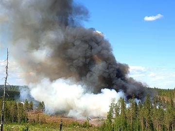 Hinskalan yhteismetsän keväällä tehty luonnonhoidollinen kulutus levisi naapurikuviolle. Onneksi oli vakuutus. (Kuvaaja: Juha Pohjonen)