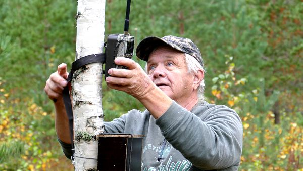 Haminalainen Kauko Tyni tarkkailee harrastuksekseen riistaeläimien elämää ruokintapaikoilla useilla riistakameroilla. Kameroiden asentamiseen on maanomistajilta luvat, ja Tynin kännykkä naksahtaa usein uuden kuvan ottamisen merkiksi. (Kuvaaja: Martti Linna)