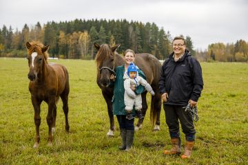 Aatos-poika sekä suomenhevostamma Juuti Milleri tovereineen pitävät Viivi Honkimaan kiireisenä. Tilan töissä auttaa nuoren emännän isä Urpo Huuskonen. (Kuvaaja: Seppo Samuli)