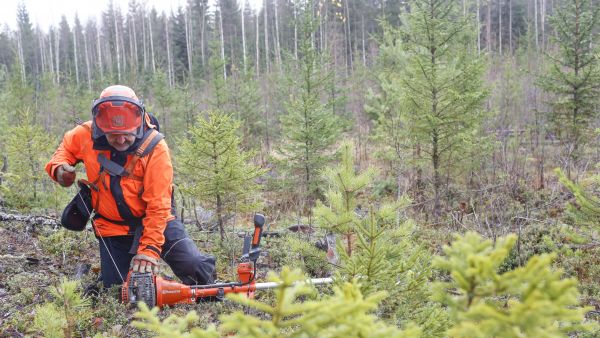 Syksyisessä metsässä on yleensä märkää, satoipa tai ei. (Kuvaaja: Sami Karppinen)