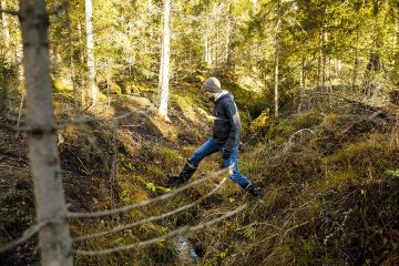 Alun perin ojitusten tehtäväksi ajateltiin, että ei olisi koskaan liian märkää. Paavo Ojasen mukaan pitäisi ajatella niin, että ojitetaan kun alkaa olla selvästi liian märkää. (Kuvaaja: Seppo Samuli)