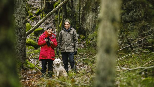 Metsällä on Lea ja Seppo Siivolalle ensisijaisesti maisema- ja virkistysarvoa. Mukana metsässä viihtyy italianvesikoira Miro.  (Kuvaaja: Seppo Samuli)