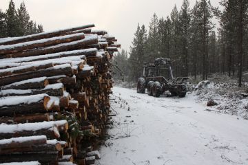 Luontojärjestöjen kartoituksessa pohjoisen suurista  yhteismetsistä ennakoidaan löytyvän kymmeniä tuhansia hehtaareita suojeltavaa. Kuva Inarin yhteismetsän hakkuulta. (Kuvaaja: Valtteri Skyttä)