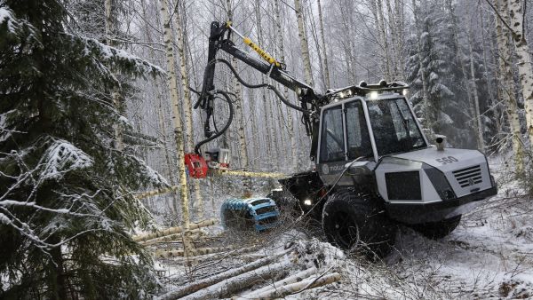 Malwan kombikone on hakkuuvarustuksessa hieman kapeampi kuin Sampo Rosenlewin harvennusmoto. (Kuvaaja: Sami Karppinen)