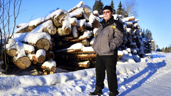 Markku Pajala uskoo, että Keskipohja selviää talousvaikeuksistaan, mutta aikaa menee vuosia. Pitkällä aikavälillä etenkin energiapuun menekki antaa toivoa. (Kuvaaja: ESKO KESKI-VÄHÄLÄ)