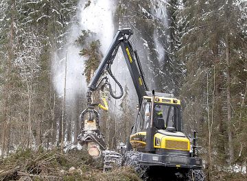 puunkorjuuta lumisissa oloissa