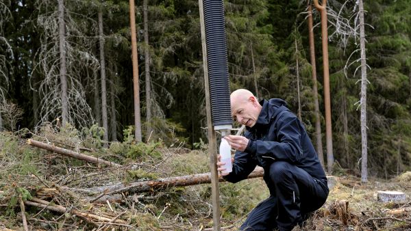 Pekka Kuitunen vastaa kirjanpainajapyydysten järjestelystä Suomen Metsäkeskuksella.