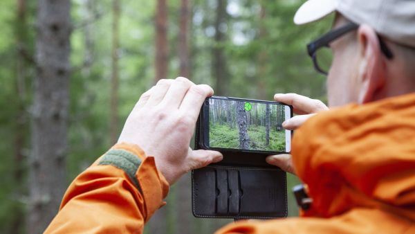 Leimikon järeys arvioidaan puulajeittain älypuhelimeen asennetulla sovelluksella.