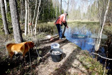 Särkijahdissa katiskaa parempaa pyytöä ei olekaan, Paavo Kukkonen tuumaa. (Kuvaaja: Jere Malinen)