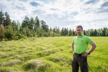 Metsitystuen hakutulva yllätti kaikki ja Metsäkeskuksessa on voitu tehdä päätös vain pienelle osalle hakemuksista, Jussi Pirkonen toteaa. Avoimet, viljelemättömät pellot kuten kuvan kohde Rovaniemellä ovat yleensä tukikelpoisia. (Kuvaaja: Juha Ollila)