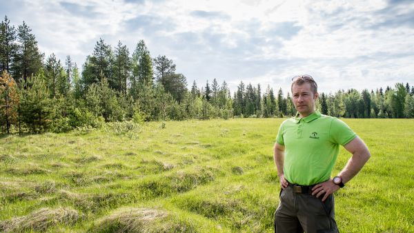 Metsitystuen hakutulva yllätti kaikki ja Metsäkeskuksessa on voitu tehdä päätös vain pienelle osalle hakemuksista, Jussi Pirkonen toteaa. Avoimet, viljelemättömät pellot kuten kuvan kohde Rovaniemellä ovat yleensä tukikelpoisia. (Kuvaaja: Juha Ollila)