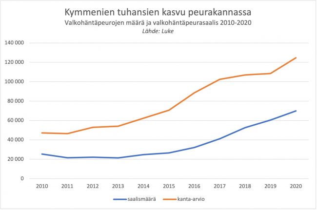 peurakannan kasvu voimakasta viime vuosina