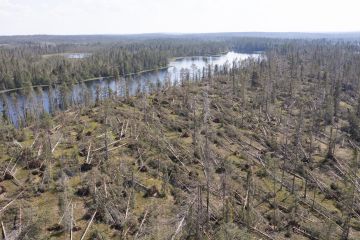 myrskytuho Kylmäluomankankaalla Taivalkoskella. kankaalla