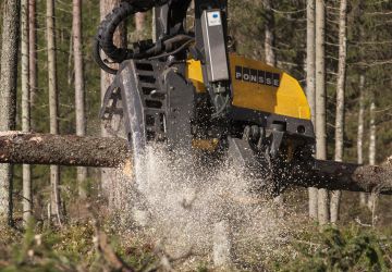 Puumarkkinoilla näkymät olivat elokuun alussa vielä sumeat.