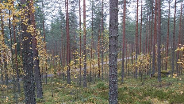 Syyskuussa tuli myyntiin useita isoja kohteita, joiden tarjousten jättöaika on vielä voimassa. Kuva: Hannu Liljeroos