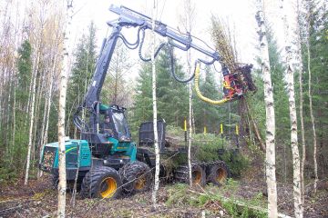 Jatkossa pienpuun korjuun pitää kannattaa ilman valtion suoraa tukea. (Kuvaaja: Mikko Riikilä)