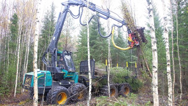 Jatkossa pienpuun korjuun pitää kannattaa ilman valtion suoraa tukea. (Kuvaaja: Mikko Riikilä)