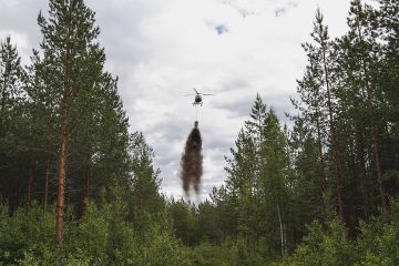 Hiilipäästöjään voi hyvittää esimerkiksi ostamalla kompensaatiopalvelujen tuottajalta metsän tuhkalannoitusta. (Kuvaaja: Sami Karppinen)