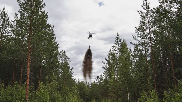 Hiilipäästöjään voi hyvittää esimerkiksi ostamalla kompensaatiopalvelujen tuottajalta metsän tuhkalannoitusta. (Kuvaaja: Sami Karppinen)